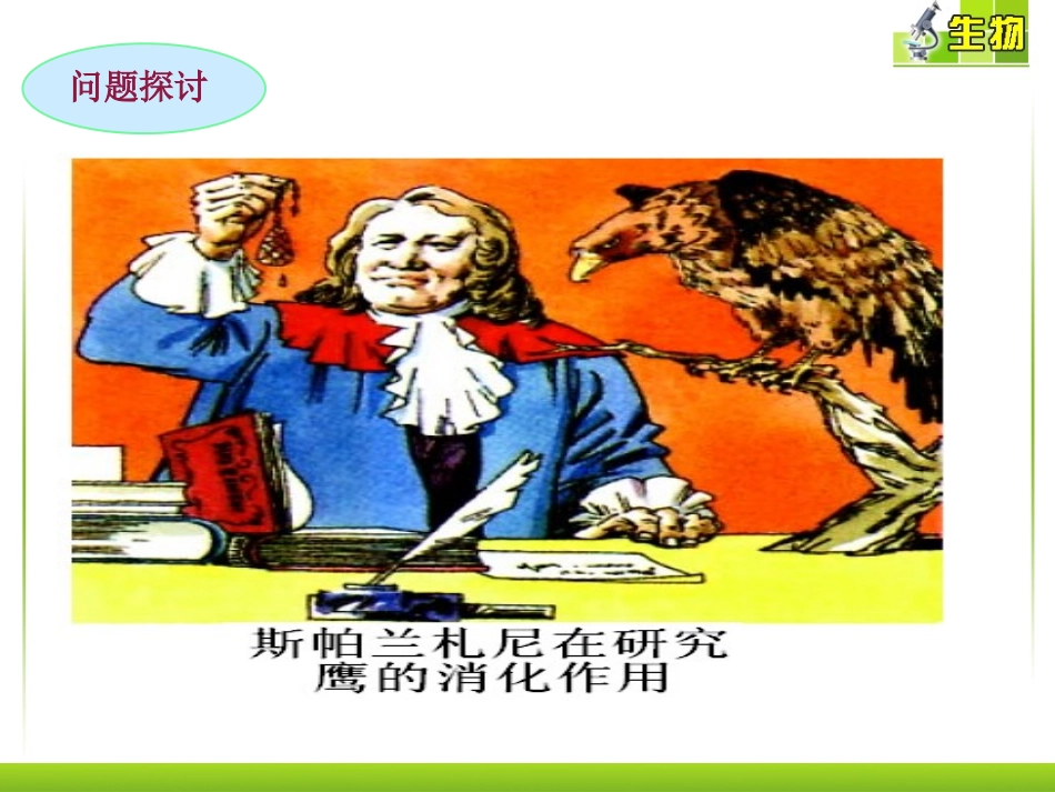 酶的本质课件8_第2页