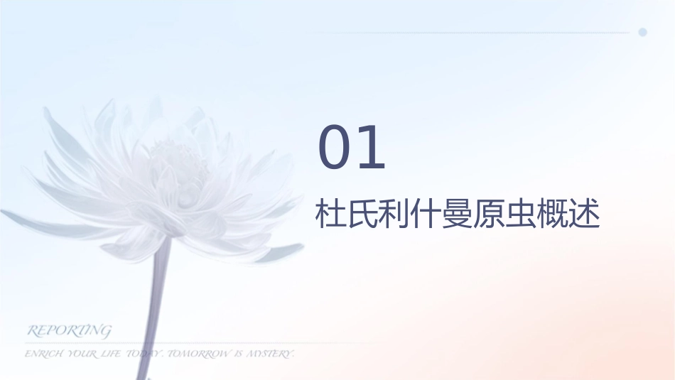 人卫版人体寄生虫学之杜氏利什曼原虫教学护理课件1_第3页