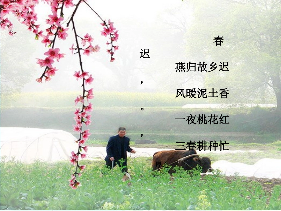 为了家乡美好的明天_第3页