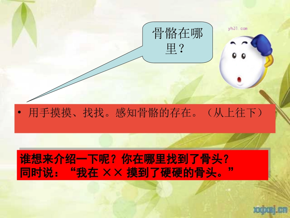 健康：人体的骨骼_第3页
