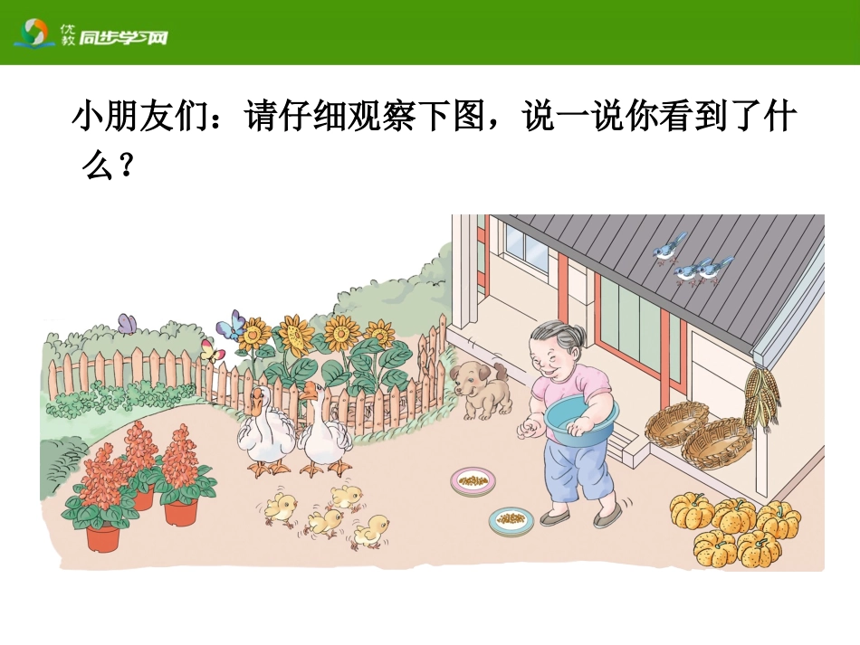《1～5的认识》教学课件_第2页