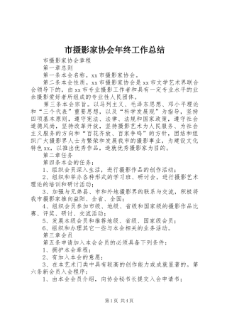 市摄影家协会年终工作总结 