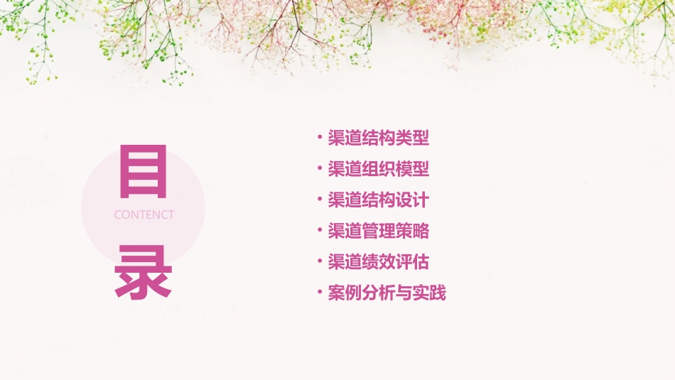 渠道结构与渠道组织模型课件_第2页