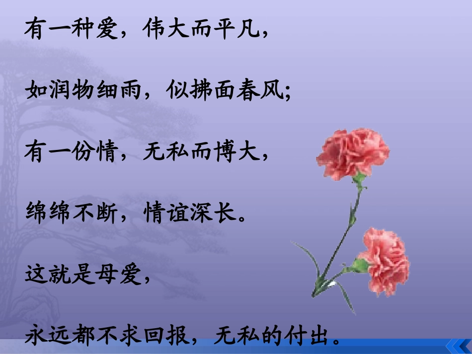 怀念母亲 (2)_第2页