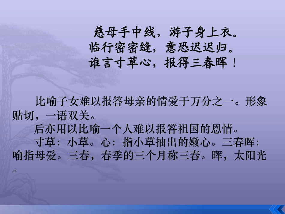 怀念母亲 (2)_第3页