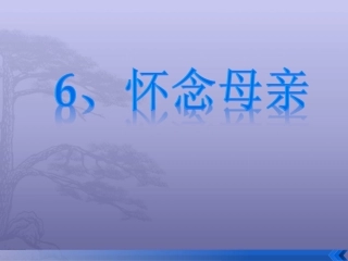 怀念母亲 (2)