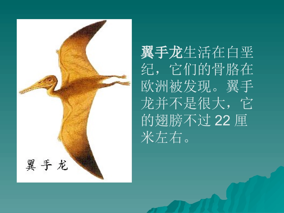 消失了的恐龙课件_第3页