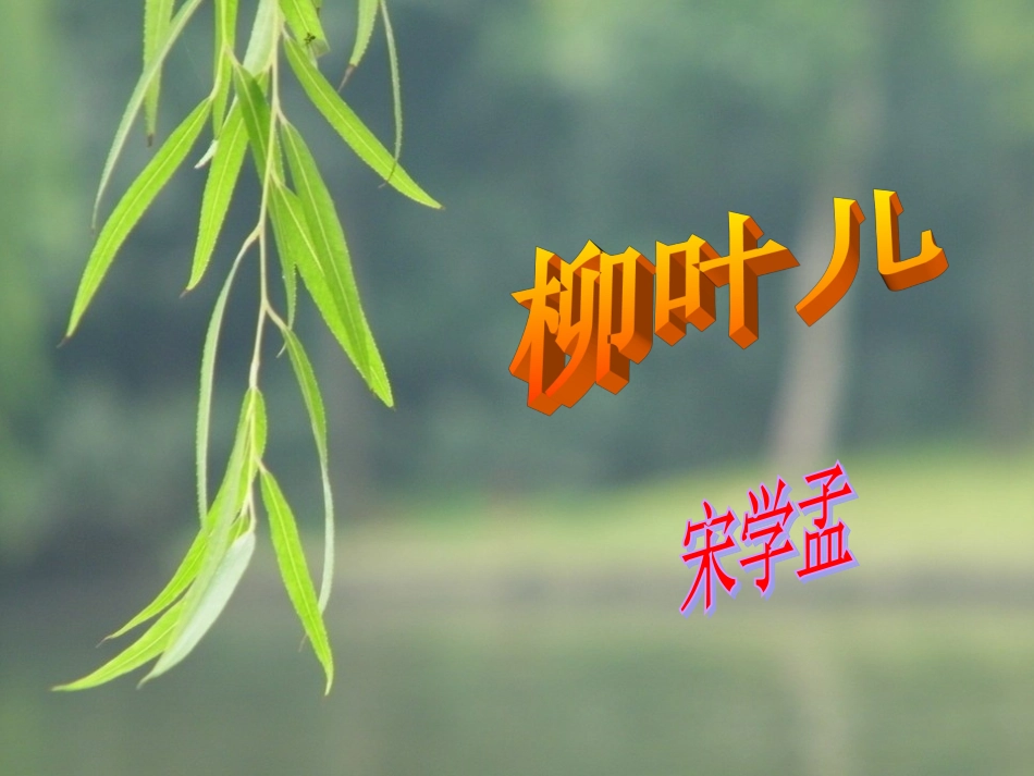 柳叶儿定稿._第2页