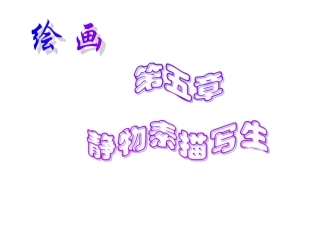 《绘画》5静物素描写生第三课时