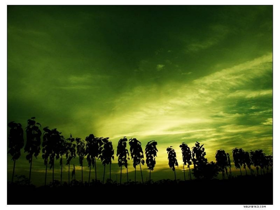 《秋天》课件_第3页