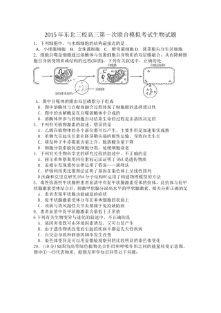 2015年东北三校高三第一次联合模拟考试生物试题