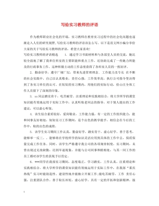 写给实习教师的评语