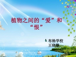 植物之间的爱与恨