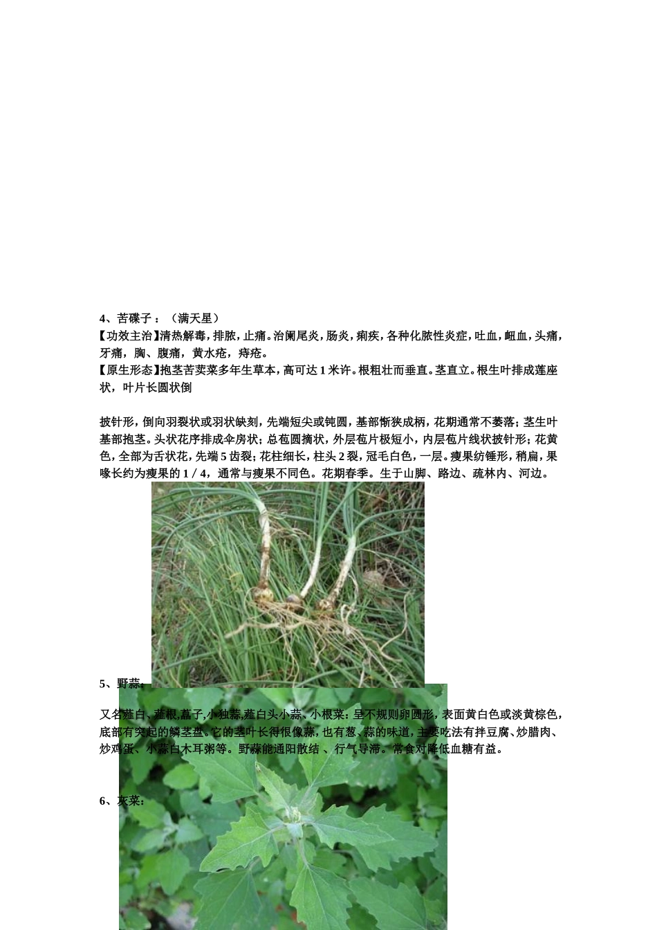 咱这能找到的野菜的功效和吃法_第3页