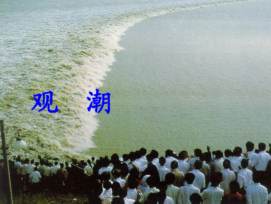 《观潮》PPT课件_第3页