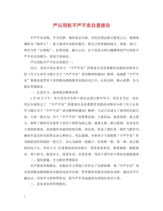 严以用权不严不实自查报告