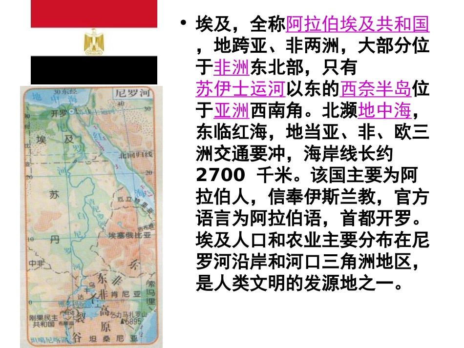 金字塔的故乡开罗_第3页