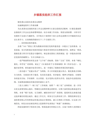 乡镇落实组织工作汇报