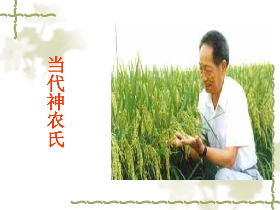 当代神农氏[1]_第1页