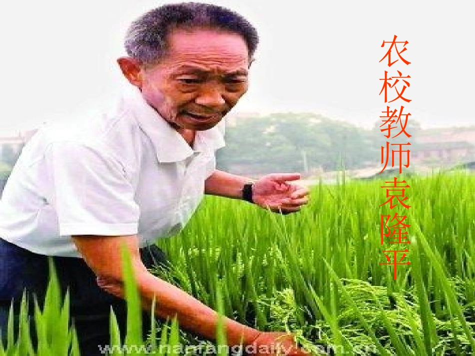 当代神农氏[1]_第2页