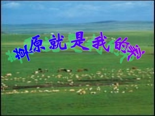 草原就是我的家