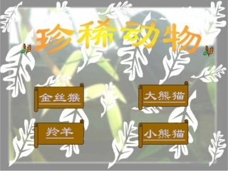 《九寨沟》珍稀动物