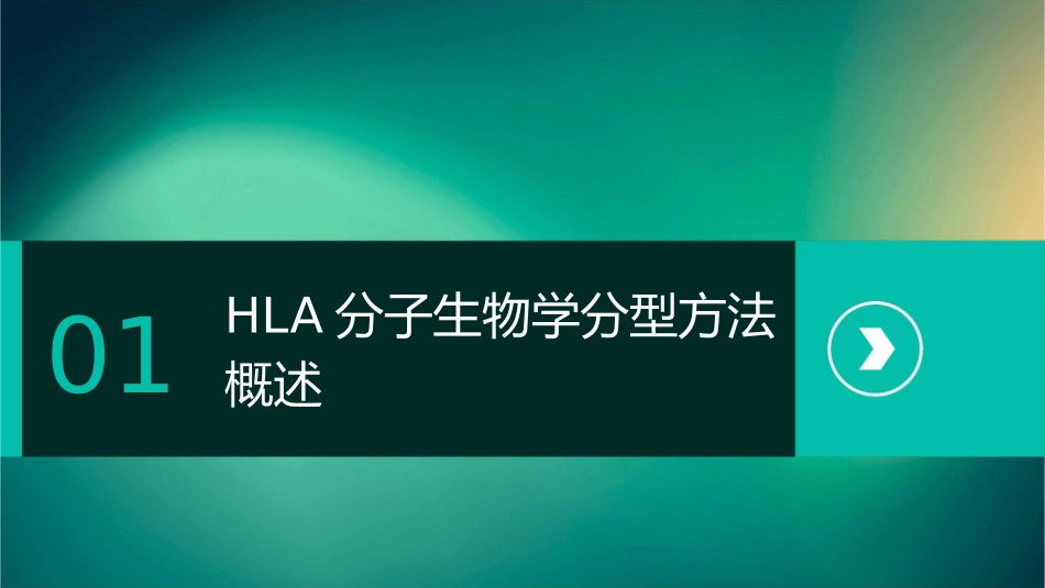 临床输血检验之HLA分子生物学分型方法护理课件1_第3页