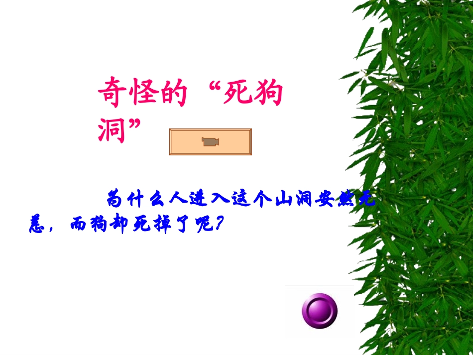 二氧化碳的性质(完成)_第1页