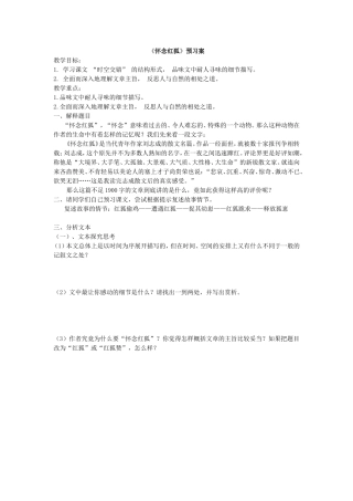 怀念红狐ty