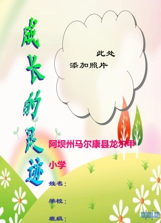 小学生成长记录档案