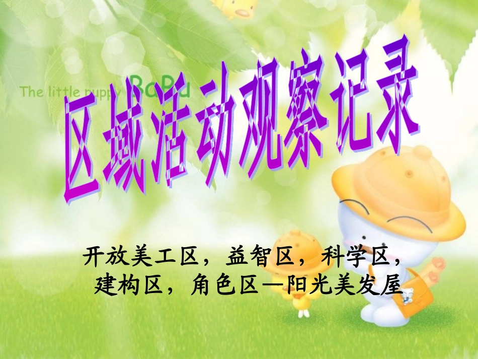 区域活动观察记录_第1页