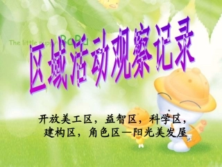 区域活动观察记录