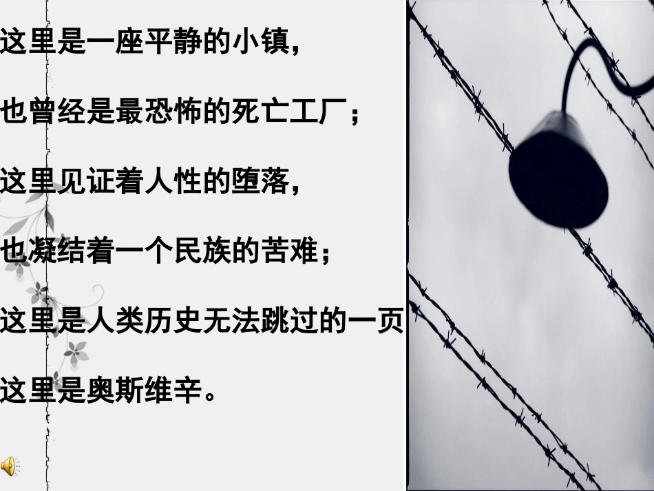 奥斯维辛可用_第1页