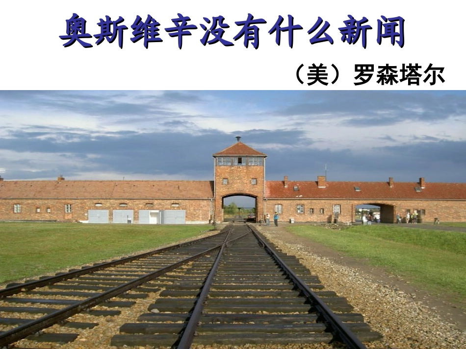 奥斯维辛可用_第2页