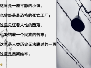 奥斯维辛可用