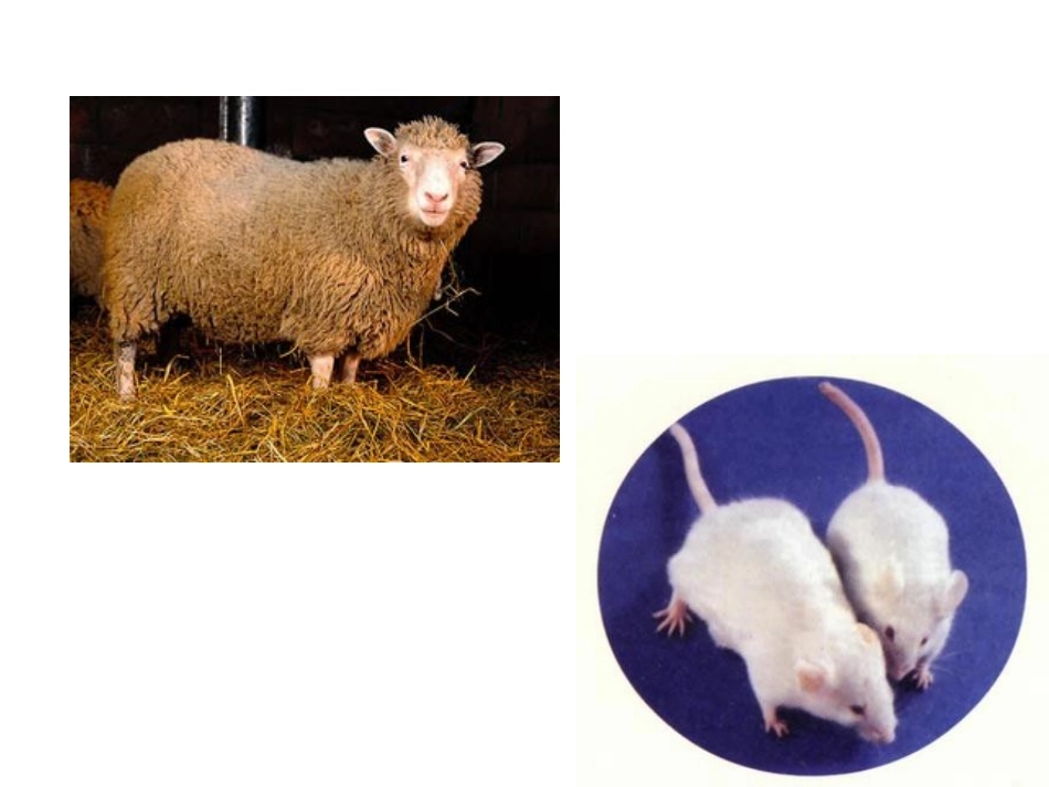 源远流长的发酵技术38_第3页