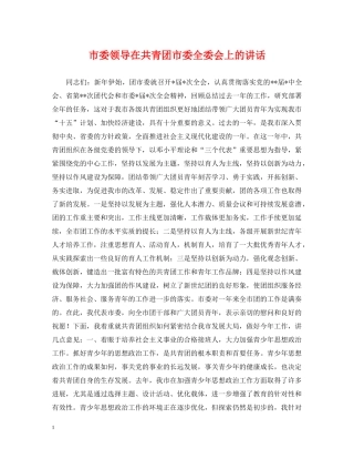 市委领导在共青团市委全委会上的讲话 