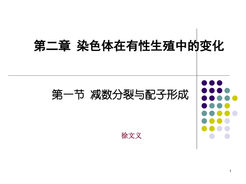 高生物减数分裂PPT_第1页