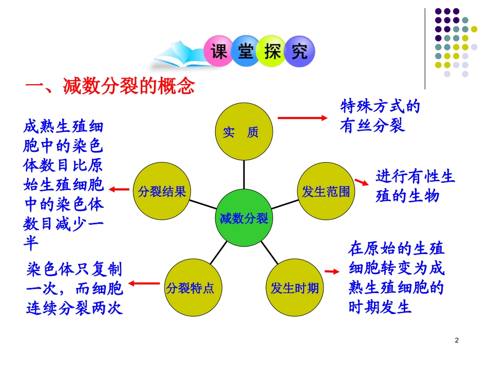 高生物减数分裂PPT_第2页