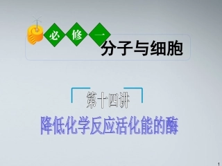 《夺冠之路》福建省2012高考生物一轮复习-第14讲-降低化学反应活化能的酶精品课件-必修1