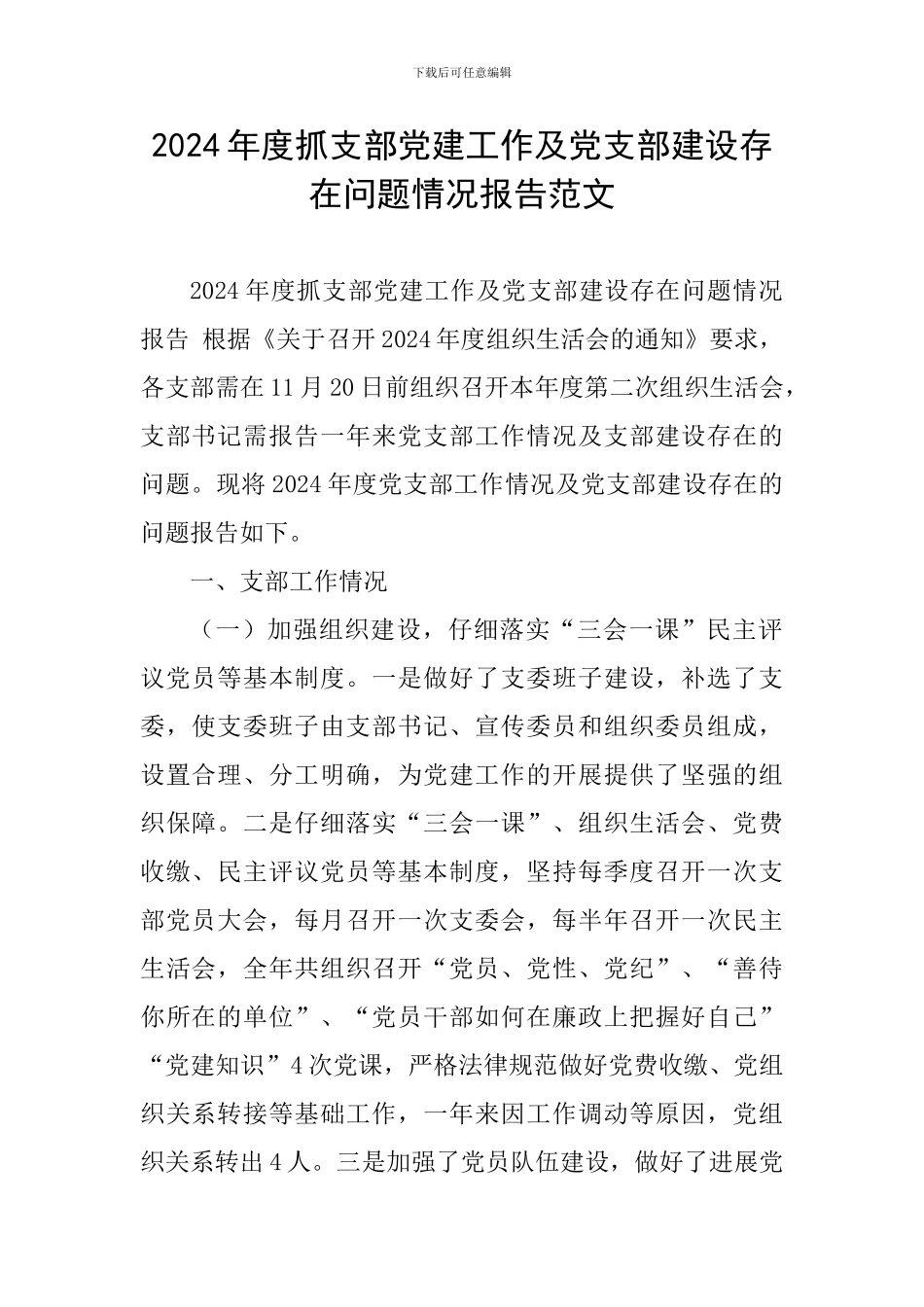 2024年度抓支部党建工作及党支部建设存在问题情况报告范文_第1页