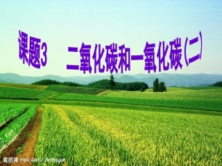 课题3二氧化碳和一氧化碳性质（二）
