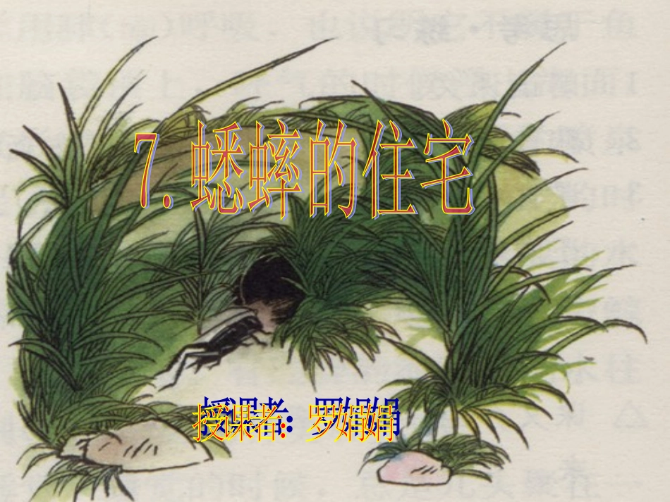 7.蟋蟀的住宅_第3页