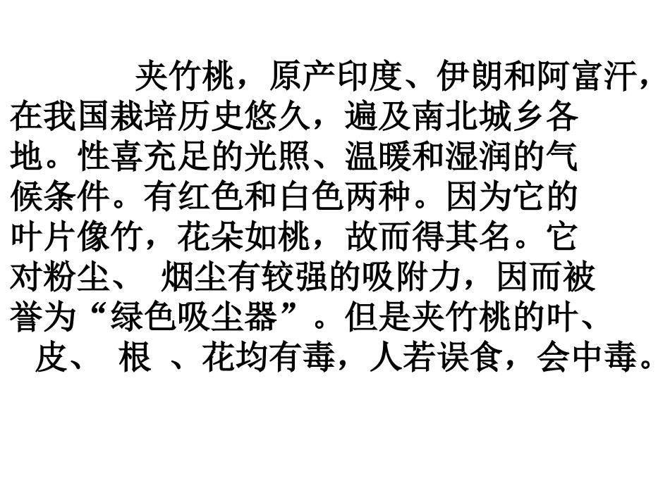 夹竹桃 (2)_第3页
