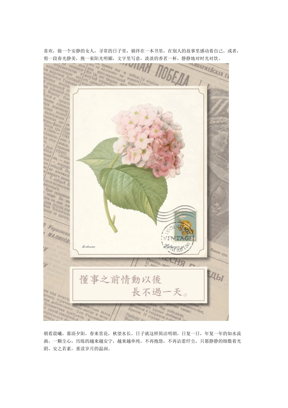 做一朵凡花，优雅独芳华_第2页