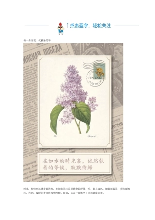 做一朵凡花，优雅独芳华