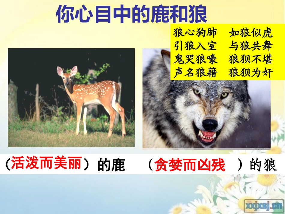 六年级上册《鹿与狼的故事》课件_第1页