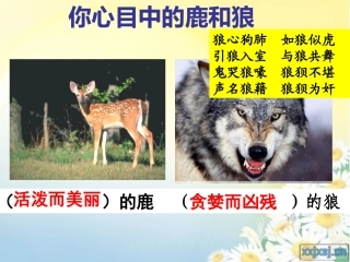 六年级上册《鹿与狼的故事》课件