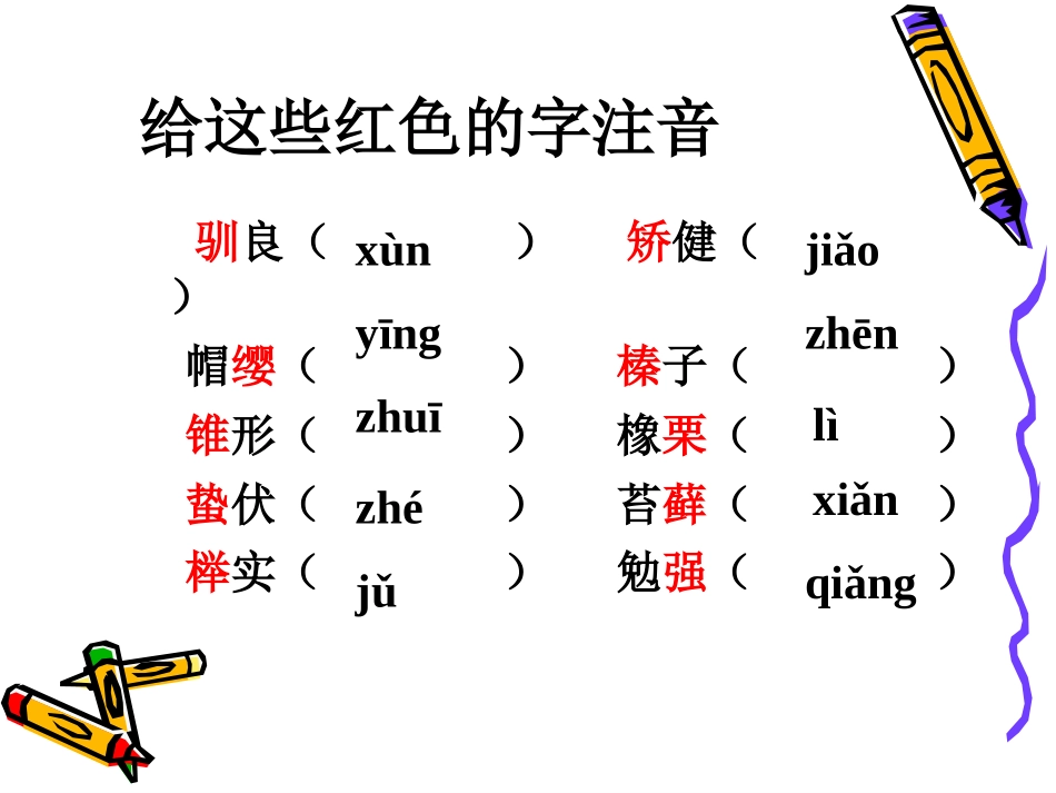 《松鼠》课件3_第3页