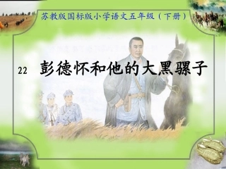 彭德怀和他的大黑骡子 (5)
